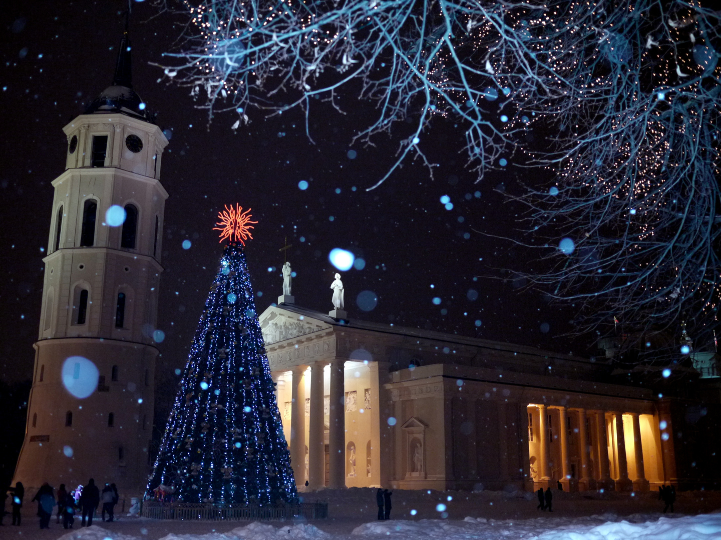 Weihnachtsstimmung auf dem Domplatz von Vilnius