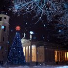 Weihnachtsstimmung auf dem Domplatz von Vilnius