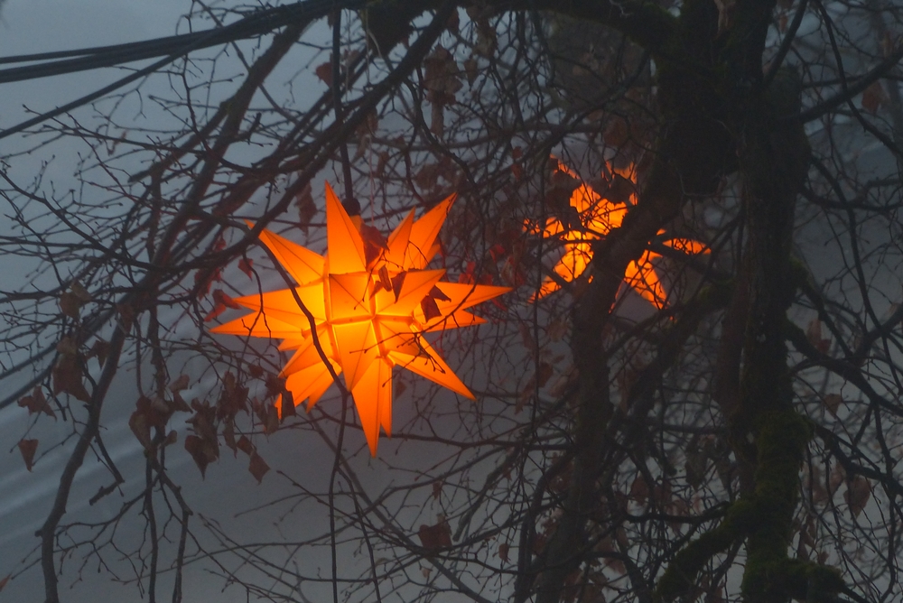 Weihnachtsstimmung im Nebel