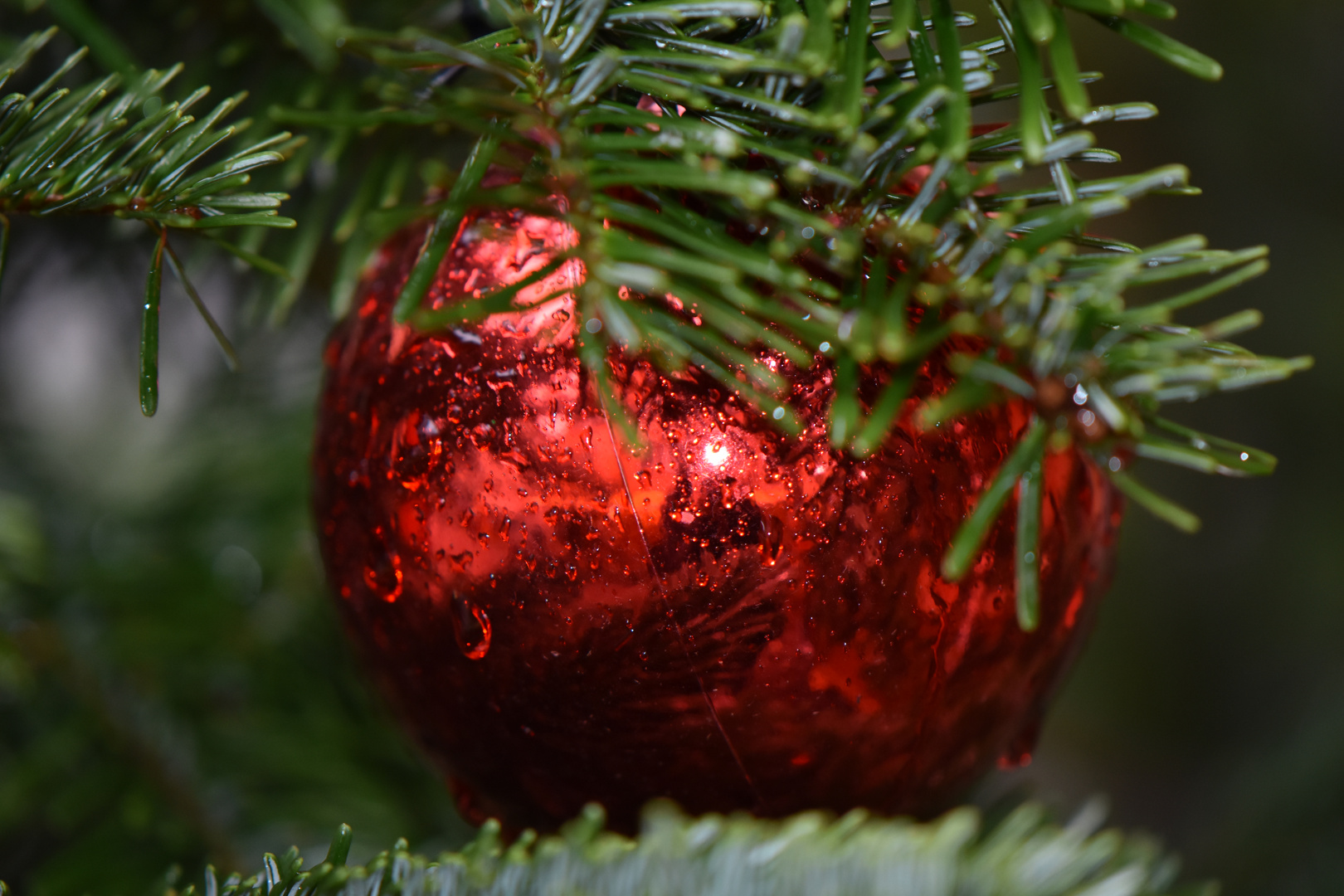 Weihnachtsstimmung im Regen in Zürich Foto & Bild gratulation und