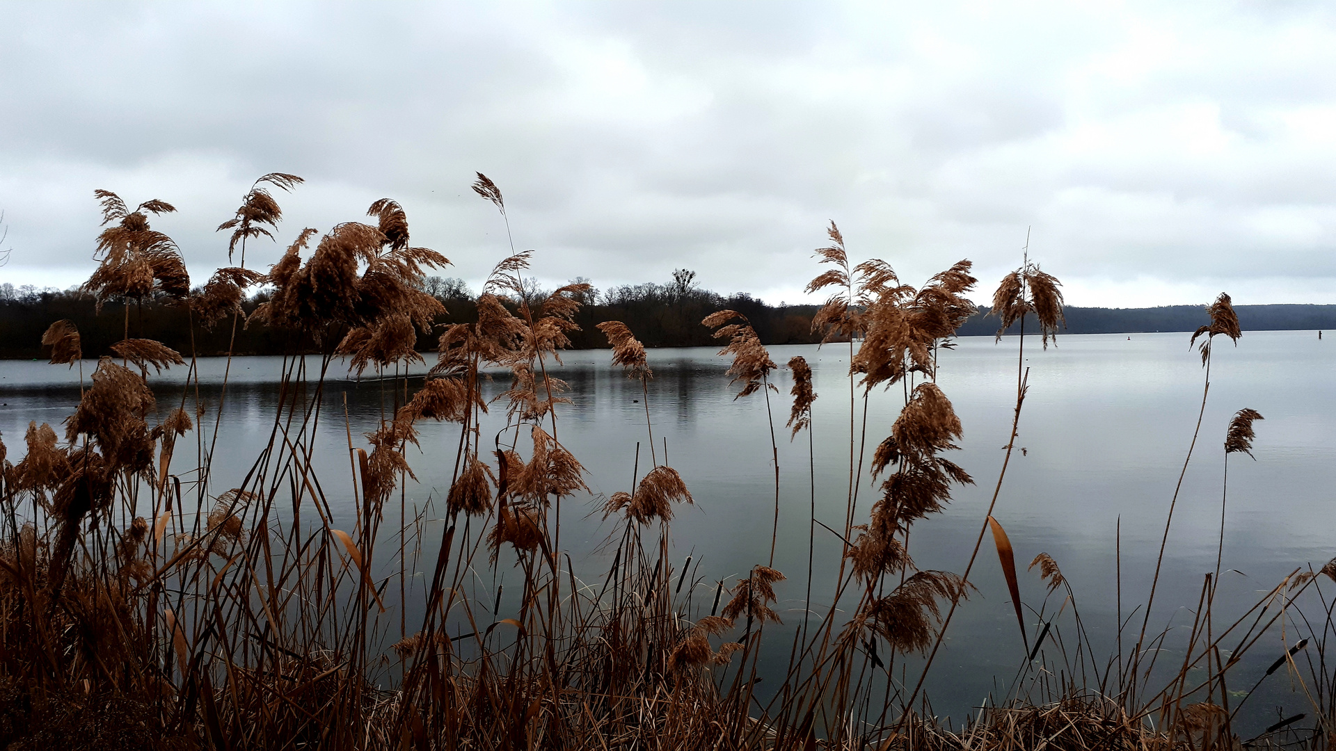 Weihnachtstag an der Havel