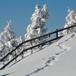 Weihnachtstag