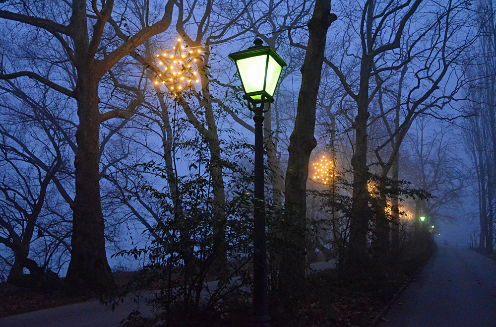 Weihnachtstage auf der Mainau, Mainau im Dezember