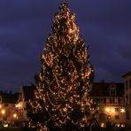 Weihnachtstanne auf dem Klosterhof in St. Gallen