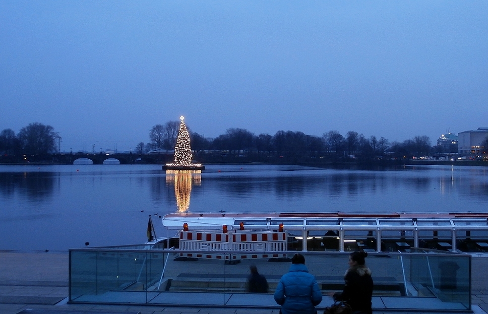 Weihnachtstanne auf der Alster