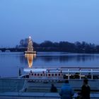 Weihnachtstanne auf der Alster