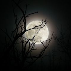 Weihnachtsvollmond