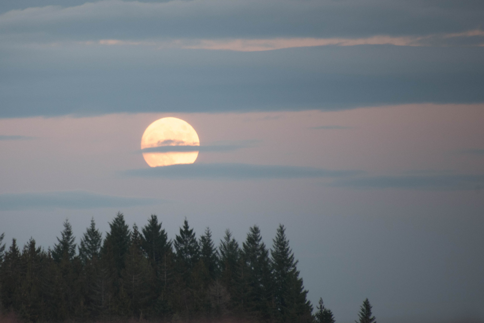 Weihnachtsvollmond über dem Schwarzwald