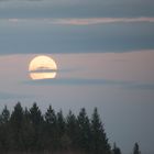 Weihnachtsvollmond über dem Schwarzwald