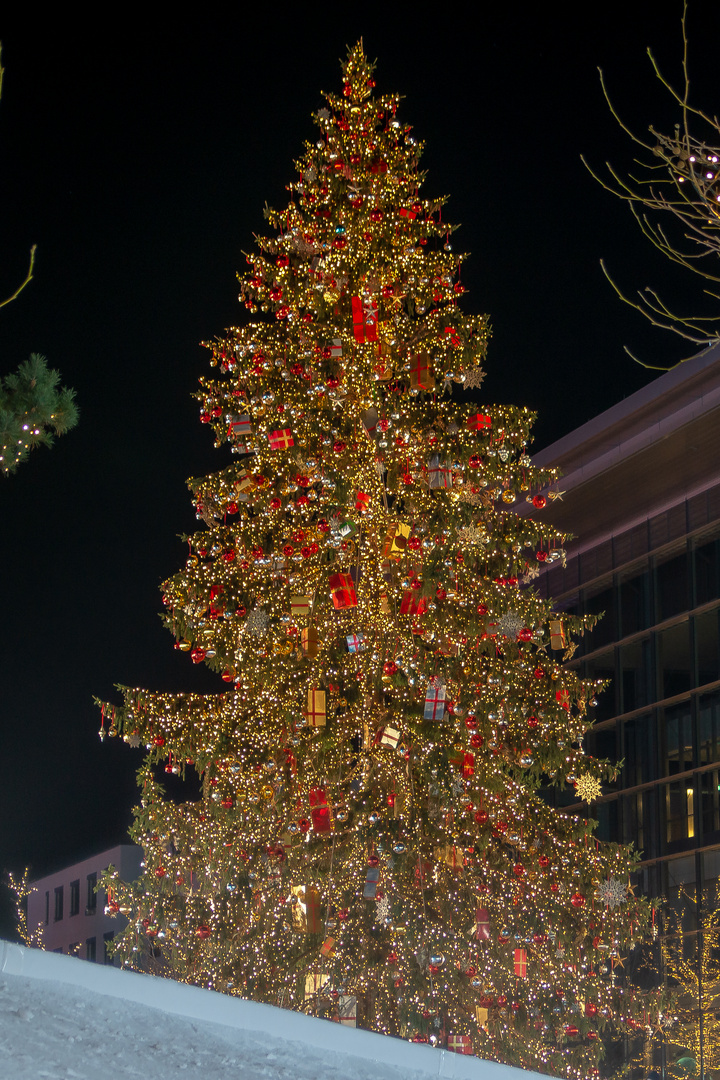 Weihnachtsvorfreude