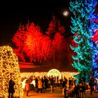 Weihnachtswald mit Märchenmond