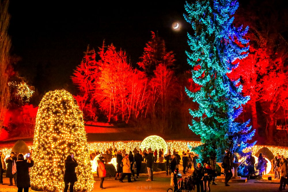 Weihnachtswald mit Märchenmond