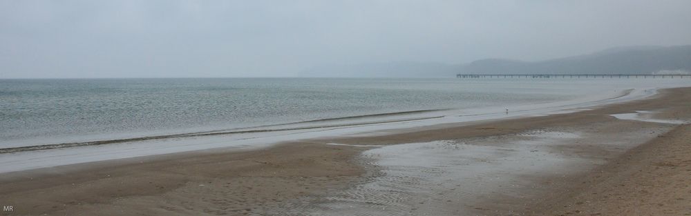 Weihnachtswanderung am Binzer Strand.2