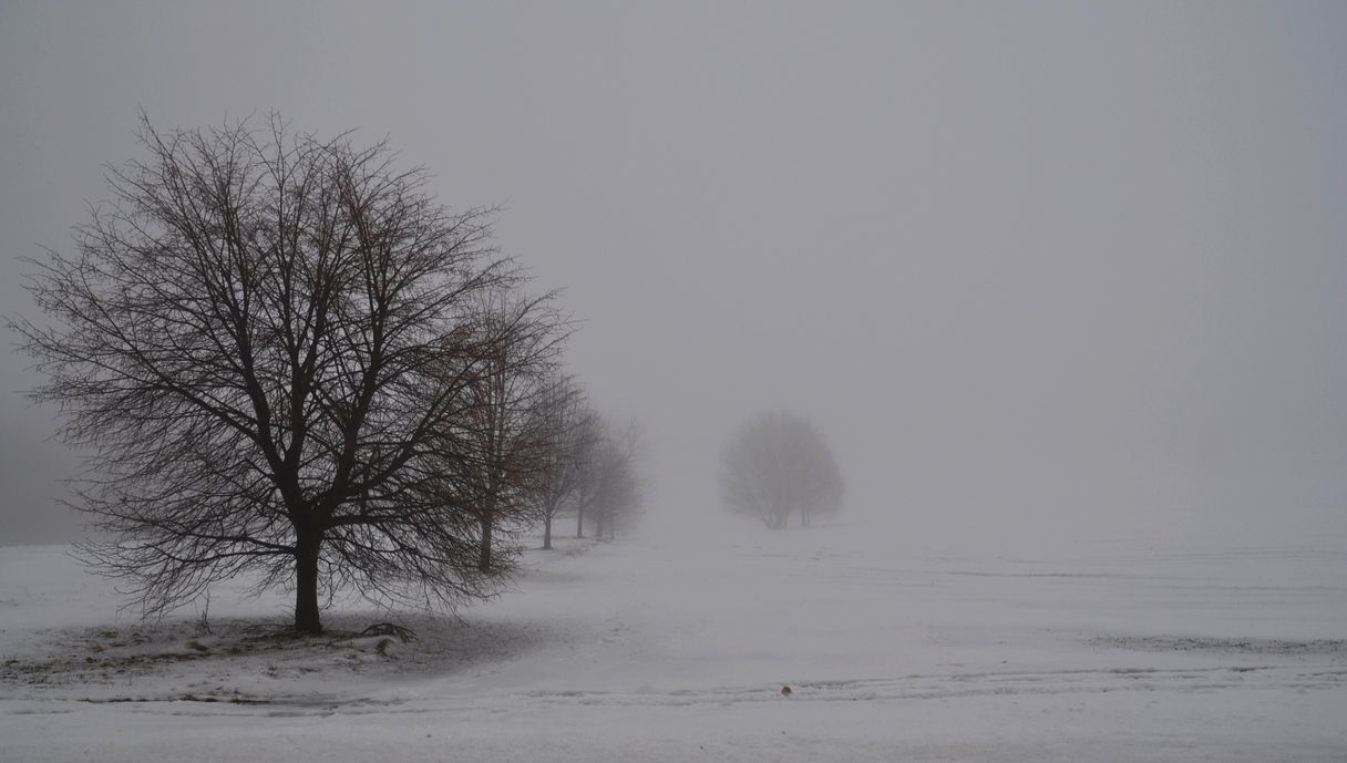 Weihnachtswetter