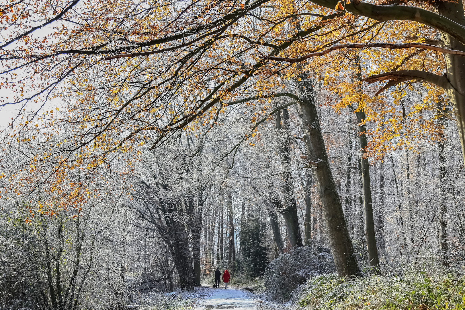 Weihnachtswetter