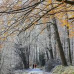 Weihnachtswetter