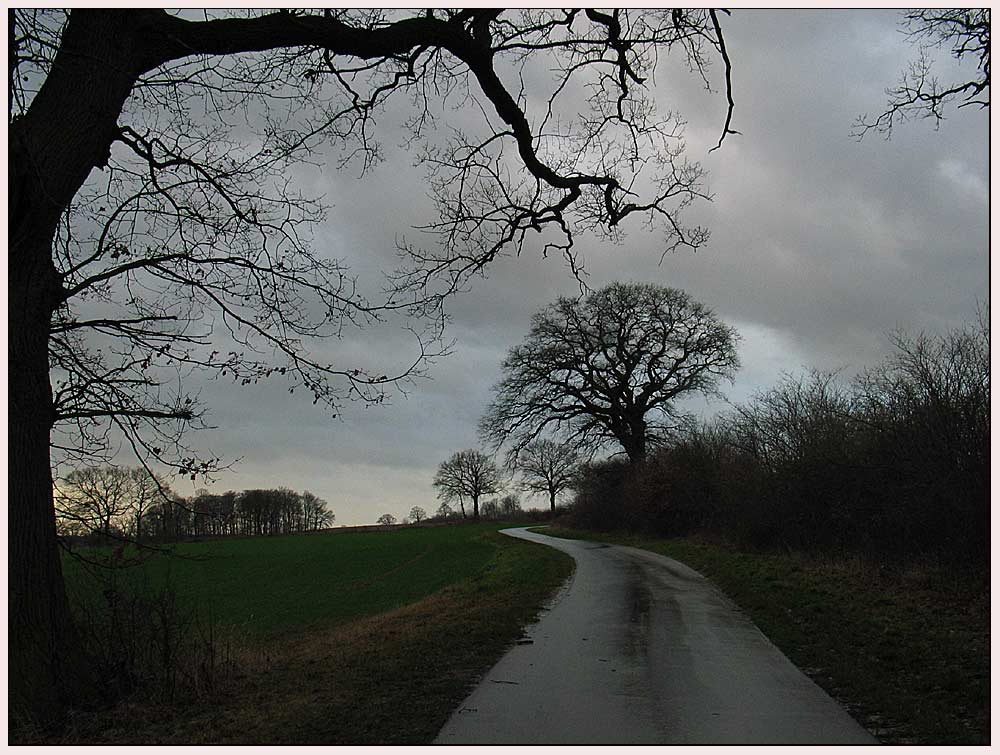 Weihnachtswetter in Norddeutschland I