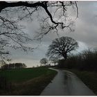 Weihnachtswetter in Norddeutschland I