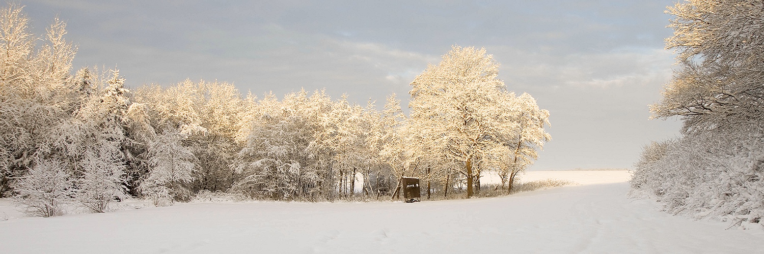 weihnachtswetterwunsch :)