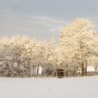 weihnachtswetterwunsch :)