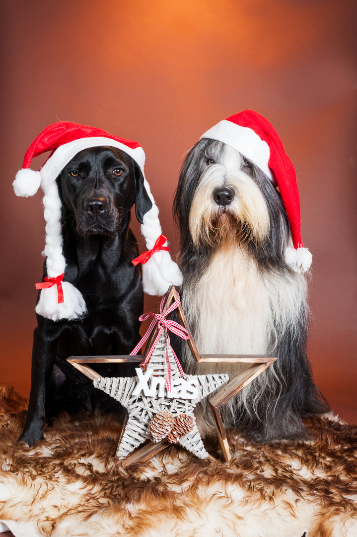 Weihnachtswichtel 