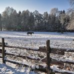 WeihnachtsWinterWelt