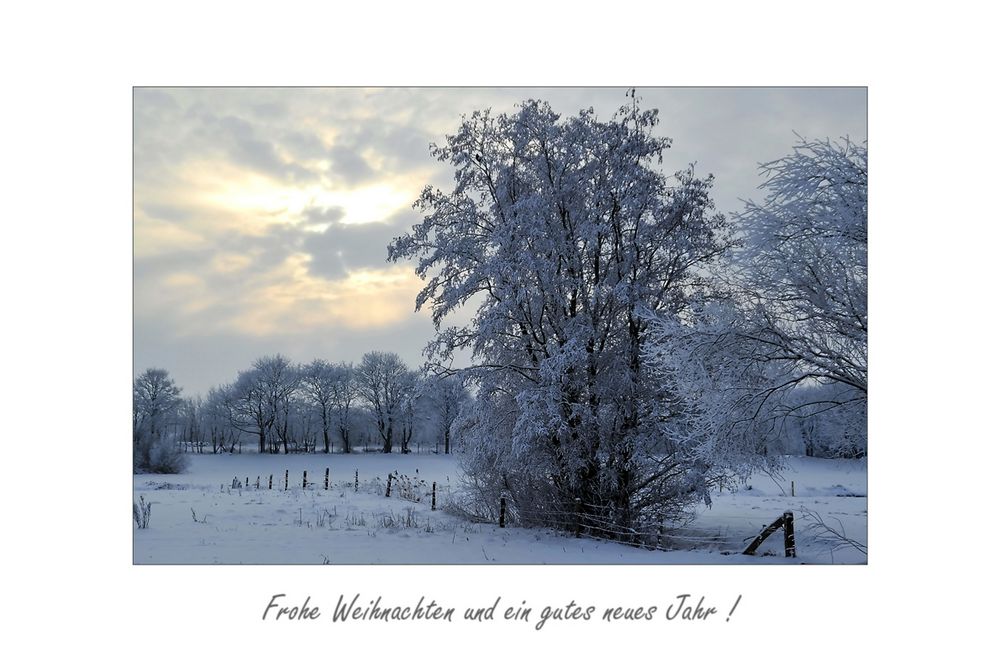 Weihnachtswünsche !