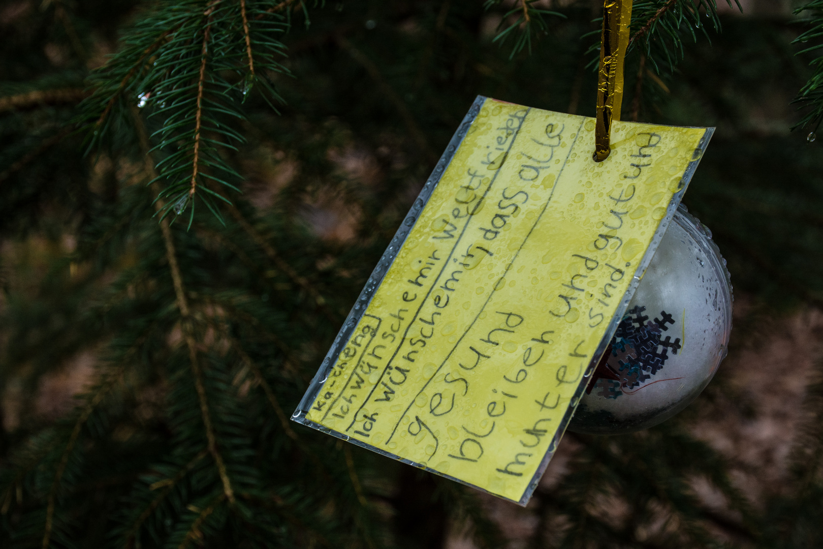 (Weihnachts)Wünsche im Wald