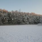 Weihnachtswunsch