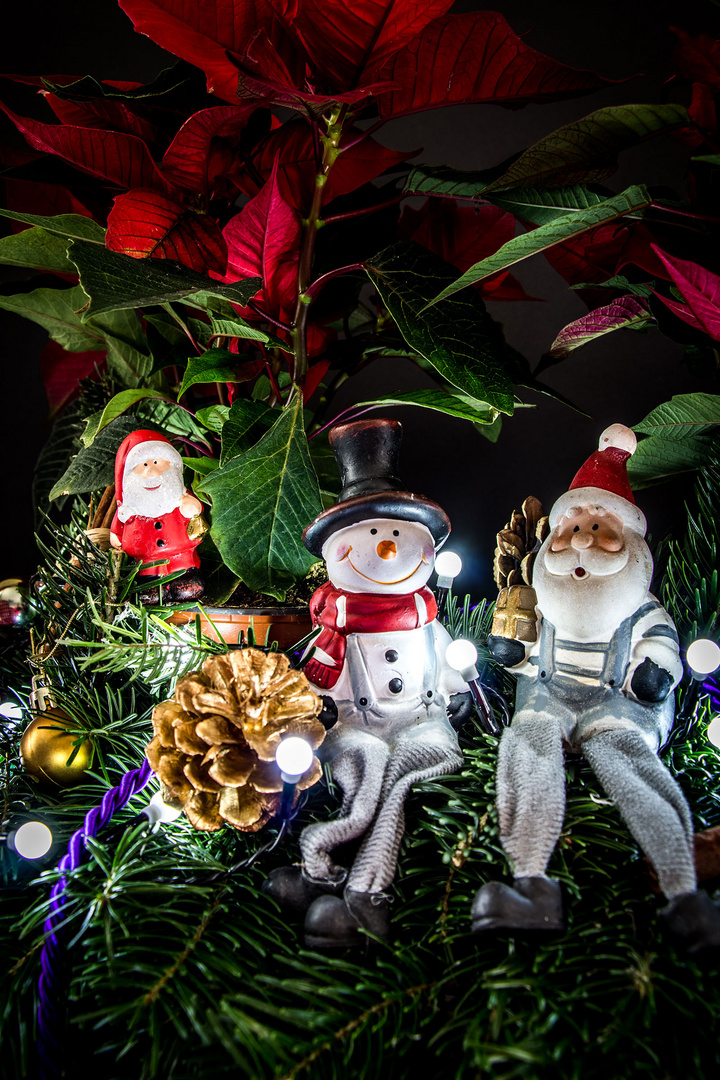 Weihnachtszeit Foto & Bild | gratulation und feiertage, weihnachten