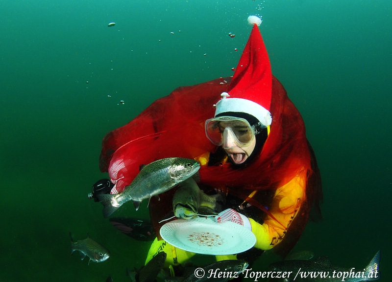 Weihnachtszeit