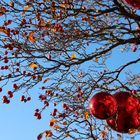 Weihnachtszeit - stade Zeit