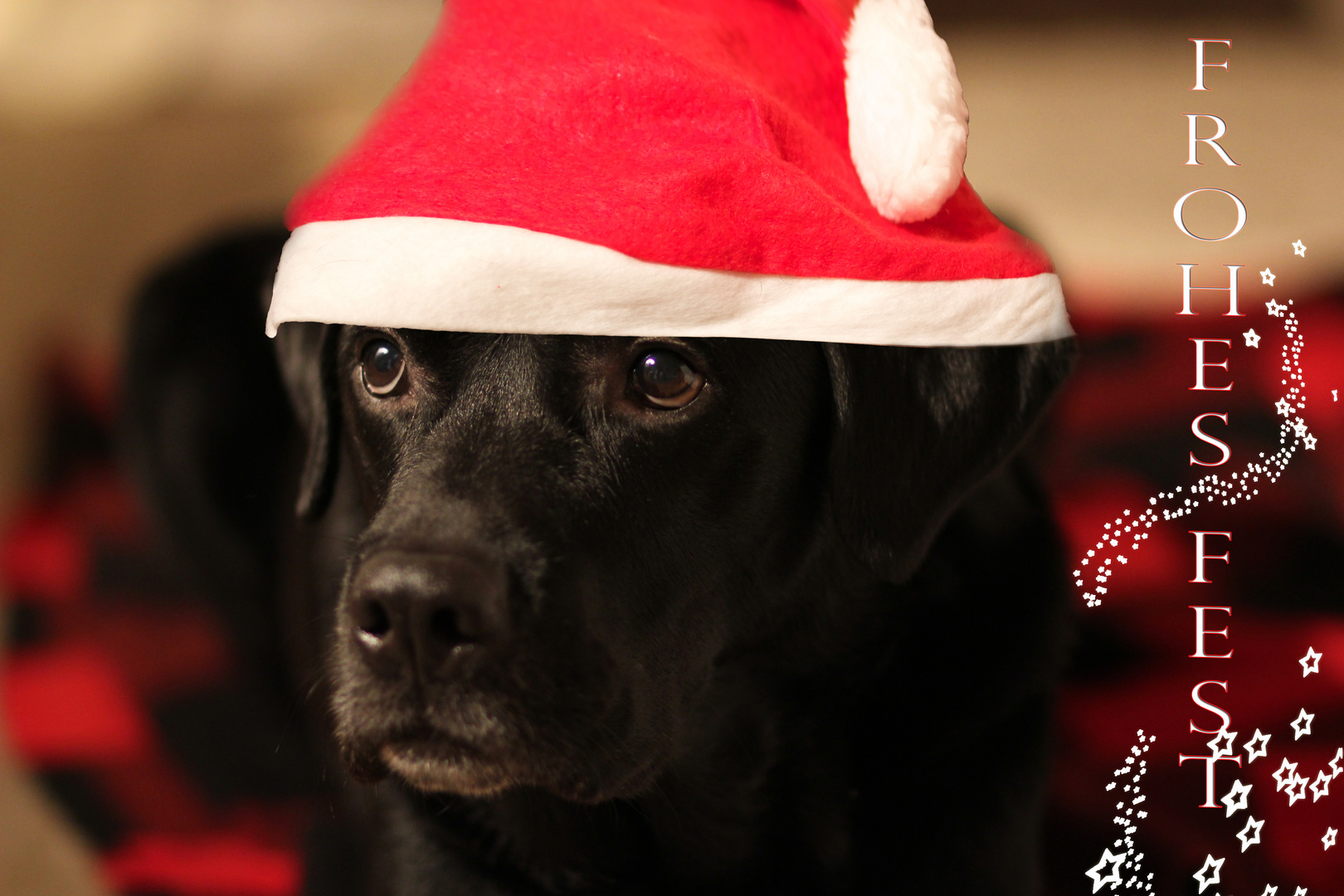 Weihnachtszeit......die Stille geniessen