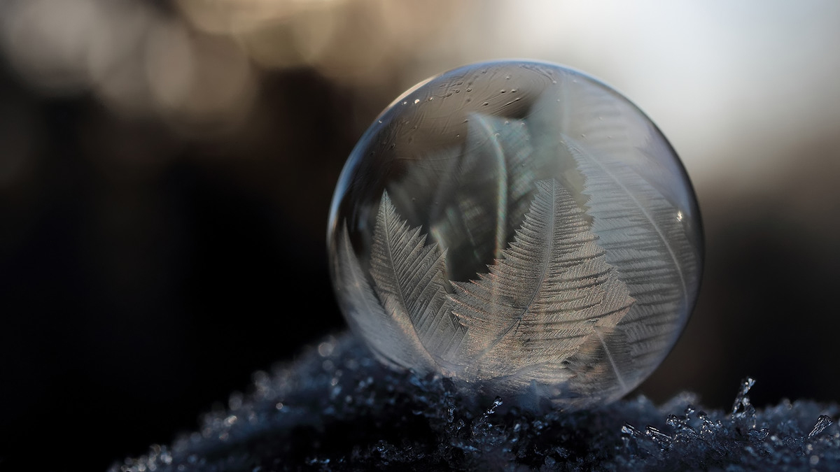 ...weil der Frost wieder gekommen ist...