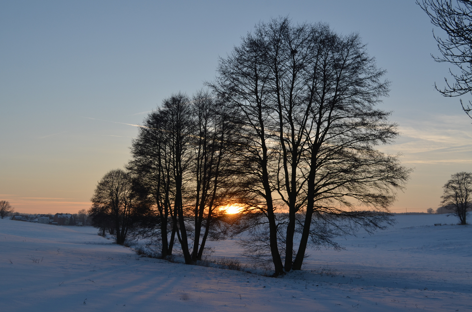 weil der Frühling nur ganz langsam kommt