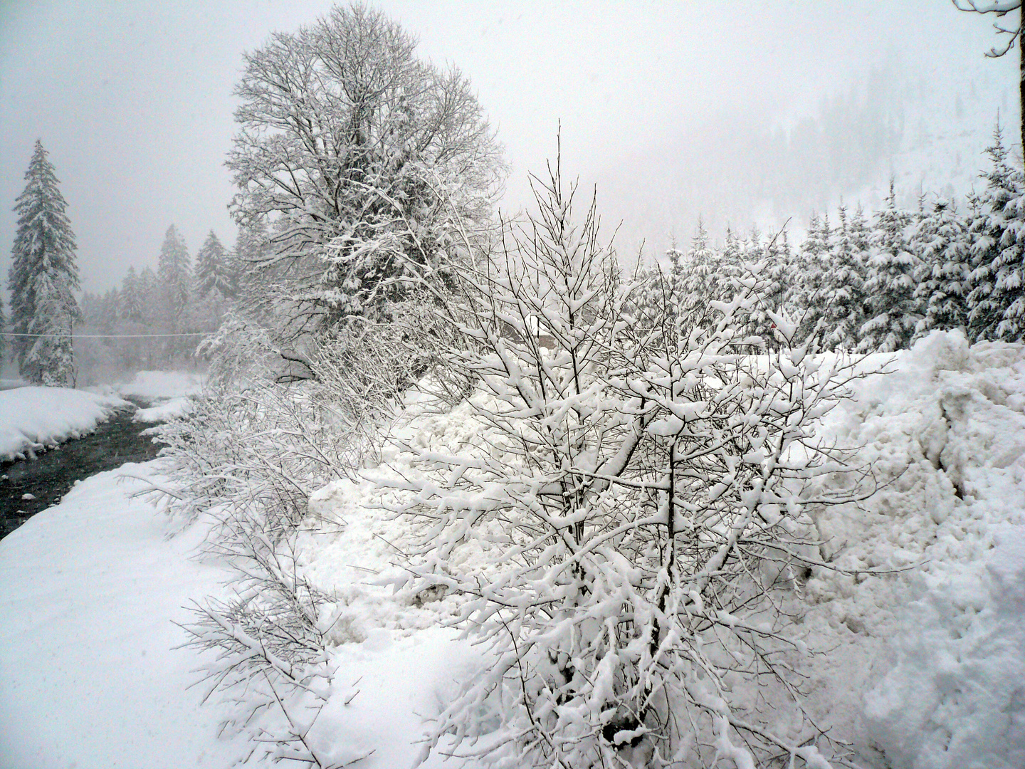 Weil der Winter so schön ist,