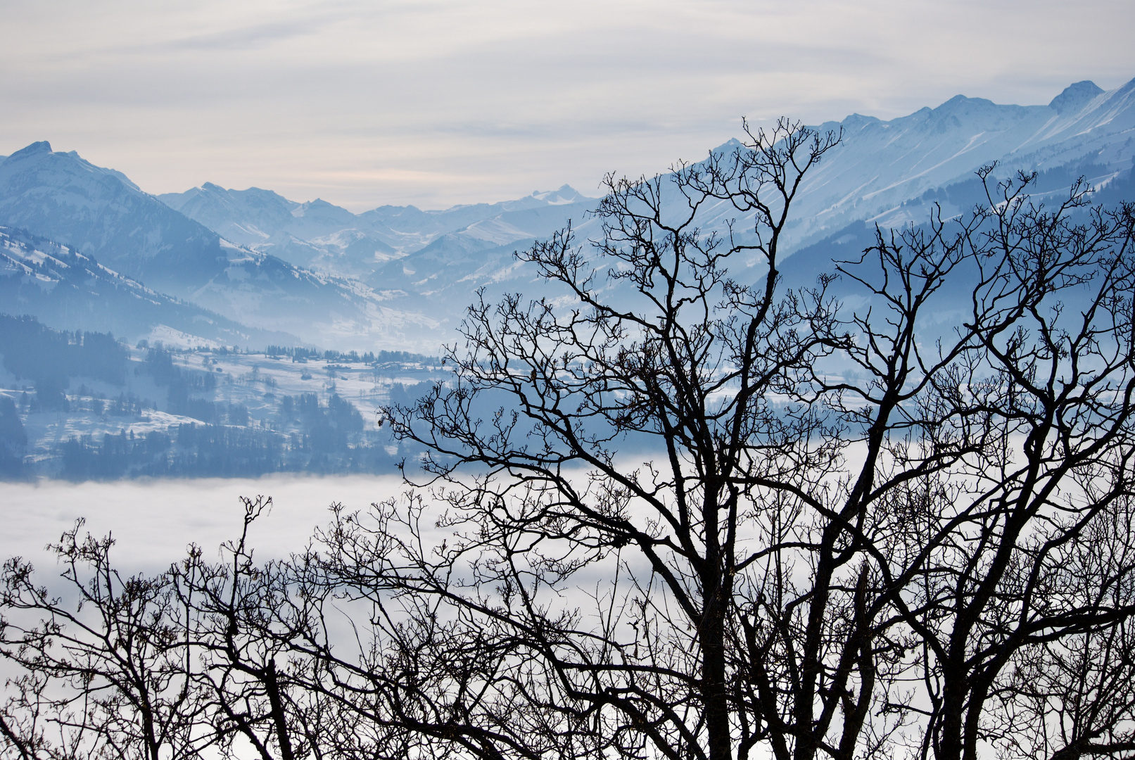 weil der Winter so schön ist