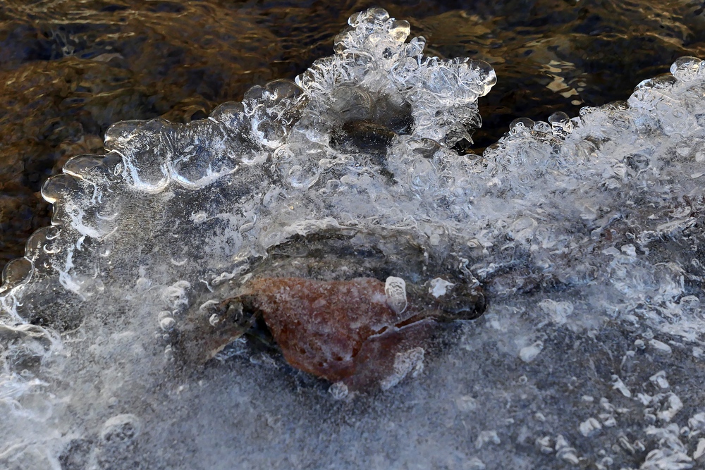 Weil – Diamanten: Preiswert und schön 11