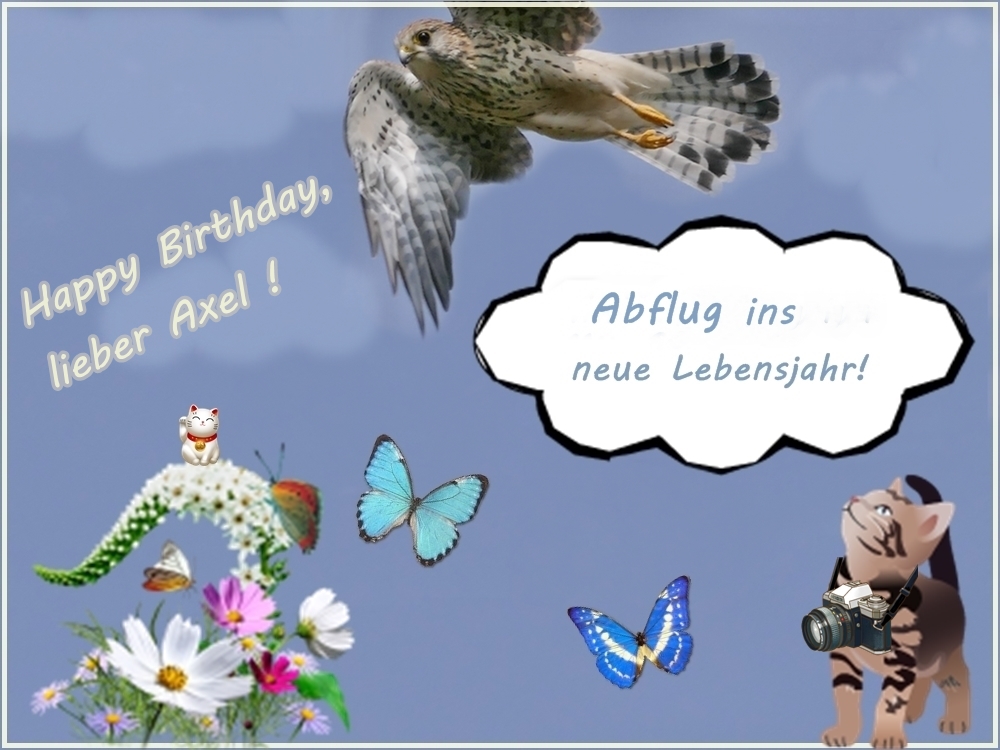 Weil du heute Geburtstag hast Foto & Bild karten und kalender