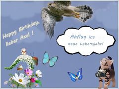 Weil du heute Geburtstag hast  ...