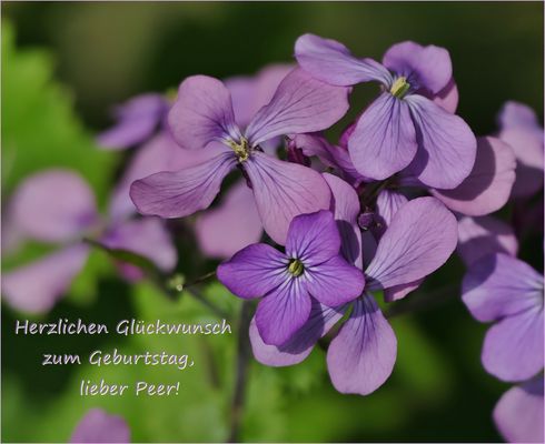 Weil du heute Geburtstag hast ...