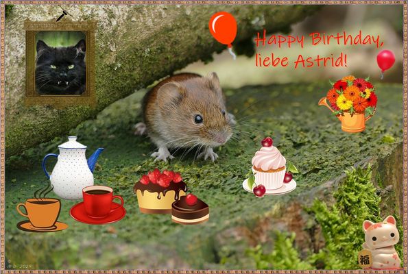 Weil du heute Geburtstag hast ...