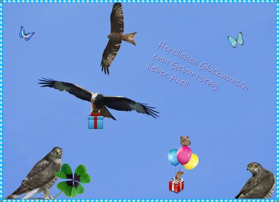 Weil du heute Geburtstag hast ...