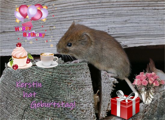 Weil du heute Geburtstag hast ...