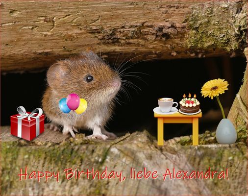 Weil du heute Geburtstag hast ...