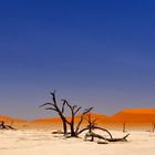 Weil es in Namibia Sossusvlei so schön ist ,gibt es noch ein Bild.