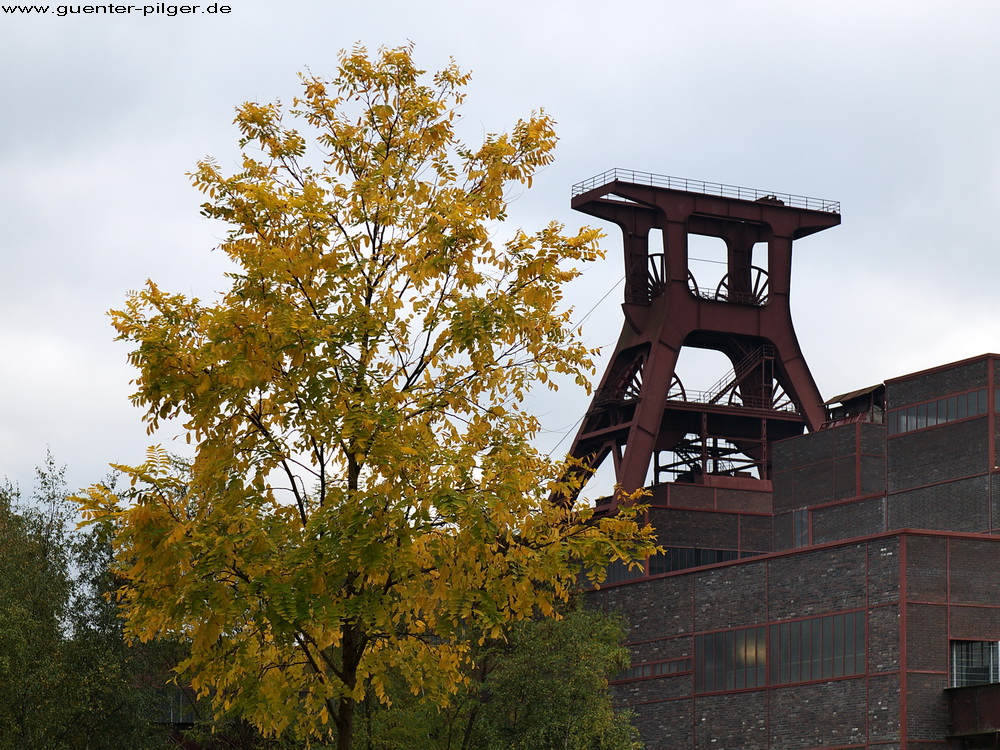 Weil Herbstbilder gerade in Mode sind...