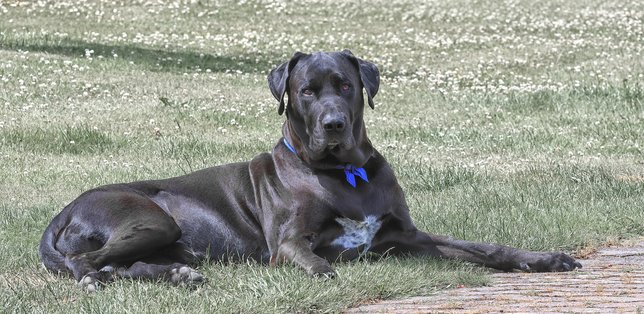 Weil heute blauer Montag ist.....
