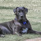 Weil heute blauer Montag ist.....