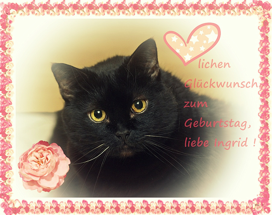 Weil heute dein Geburtstag ist..... Foto & Bild birthday, spezial